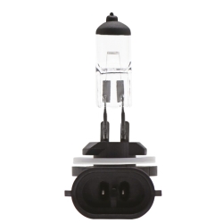 żarówka 12V  H881 12V 50W PGJ13 AMIO